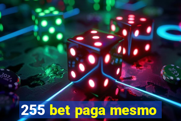 255 bet paga mesmo